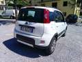 Fiat Panda 1.3 MJT 75 CV S&S 4X4 Bianco - thumbnail 3