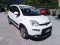 Fiat Panda 1.3 MJT 75 CV S&S 4X4 Bianco - thumbnail 2