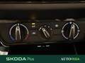 Skoda Fabia 1.0 mpi evo selection 80cv Bianco - thumbnail 13