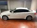 Jaguar XE Jaguar Xe 2.0 180cv prestige Bianco - thumbnail 7
