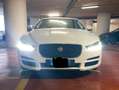 Jaguar XE Jaguar Xe 2.0 180cv prestige Bianco - thumbnail 3