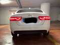 Jaguar XE Jaguar Xe 2.0 180cv prestige Bianco - thumbnail 5