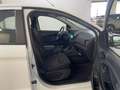 Ford Ka/Ka+ 1.2 70 CV Start&Stop Bianco - thumbnail 21