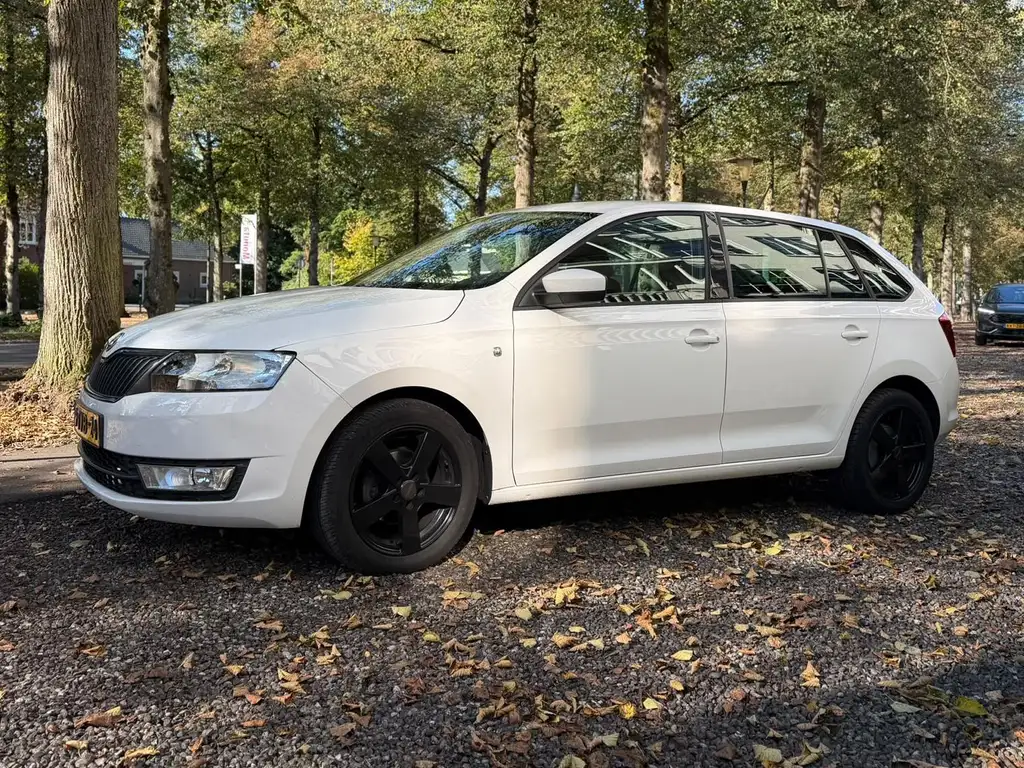 Skoda Rapid/Spaceback 2014 из Европы — купить под ключ