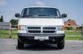 Dodge RAM 1500 Van 3.9 / LPG / LICHTE VRACHT / LEDER / AIRCO Bílá - thumbnail 5