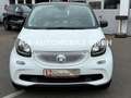 smart forFour Passion 52kW *1-HAND*PANORAMA*SHZ* Bílá - thumbnail 1
