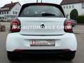 smart forFour Passion 52kW *1-HAND*PANORAMA*SHZ* Bílá - thumbnail 9