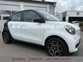 smart forFour Passion 52kW *1-HAND*PANORAMA*SHZ* Bílá - thumbnail 12