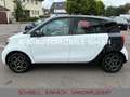 smart forFour Passion 52kW *1-HAND*PANORAMA*SHZ* Bílá - thumbnail 6