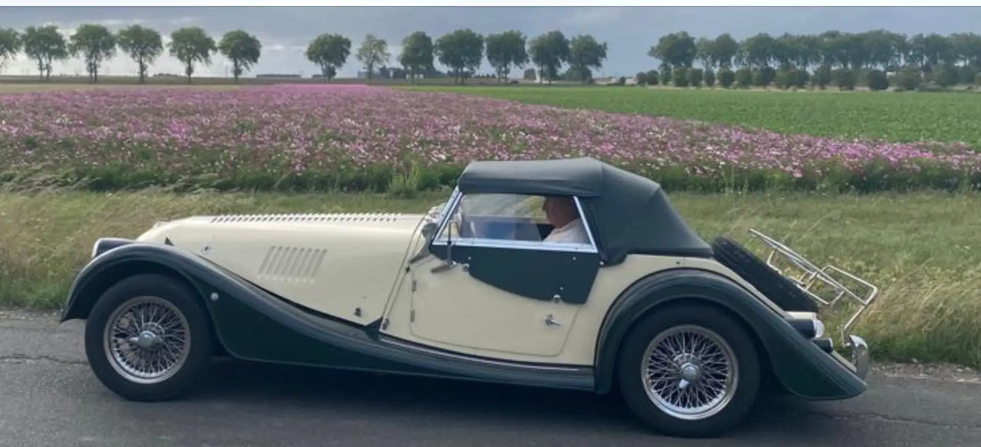 Morgan Plus 4 Morgan plus 4 Austria Edition 2,0  Austria Edition Grün - 1