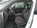 Renault Scenic TCe 140 PF BOSE Wit - thumbnail 5