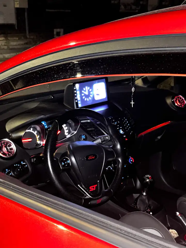 Ford Fiesta ST — photo 5
