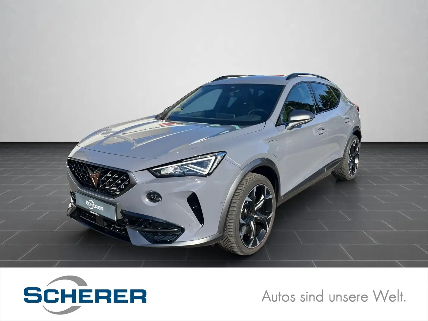 CUPRA Formentor VZ 1.4 e-hybrid DSG Rückfahrkamera Grau - 1