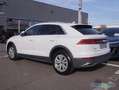 Audi Q8 50 TDI qu. Allradl. Luftf. Massage Matrix Nav Weiß - thumbnail 3