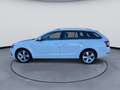 Skoda Octavia 1.6 TDI DPF Style (EURO 6d-TEMP) Weiß - thumbnail 8