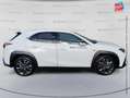 Lexus UX 300h 300h 2WD F SPORT Design - thumbnail 11