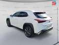 Lexus UX 300h 300h 2WD F SPORT Design - thumbnail 7