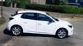 Opel Corsa Elegance Business 1.2 Turbo 100CV 04/23 10825HT Blanc - thumbnail 5