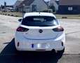 Opel Corsa Elegance Business 1.2 Turbo 100CV 04/23 10825HT Blanc - thumbnail 12