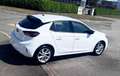 Opel Corsa Elegance Business 1.2 Turbo 100CV 04/23 10825HT Blanc - thumbnail 4