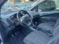 Ford B-Max B-Max 1.5 tdci Business 75cv Grigio - thumbnail 8