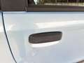Fiat Panda 1.1 Active OK NEOPATENTATI POCHI CHILOMETRI Azul - thumbnail 19