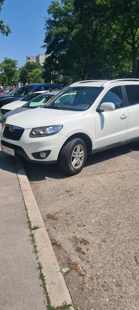 Hyundai SANTA FE 2.2 CRDi 4WD CPF Premium - 1