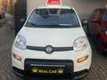Fiat Panda 1.0 firefly hybrid s Bianco - thumbnail 1