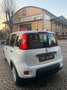 Fiat Panda 1.0 firefly hybrid s Bianco - thumbnail 9