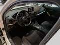 Audi Q2 2.0 35 TDI quattro STH AHK PDC KlimaA Blanc - thumbnail 14