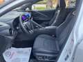 Toyota C-HR C-HR 1.8 HV Lounge Weiß - thumbnail 9