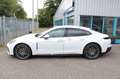 Porsche Panamera 4 *MY 25* *PROD. 25* *BLANKO COC* *HUD* Blanc - thumbnail 2