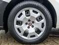 Fiat Doblo 8-Fachbereift - Cargo S & S+PDC+V+H+Tempomat+Klima Weiß - thumbnail 9