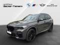 BMW X5 M50i LivePro/CarPlay/Driving/Parking-360°/Sitzlüft Grau - thumbnail 1
