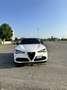 Alfa Romeo Stelvio 2.2 t Tributo Italiano Q4 210cv auto - thumbnail 8