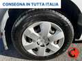 Renault Kangoo Z.E. 44 KW ALLESTITO-CRUISE-BATTERIE DI PROPRETA'- Weiß - thumbnail 22