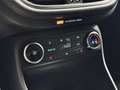 Ford Fiesta ST Recaro-Sportsitze TEM|SHZ|MFL| Schwarz - thumbnail 24