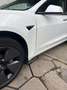 Tesla Model 3 Model 3 RWD Hinterradantrieb Weiß - thumbnail 19