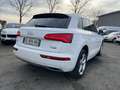 Audi Q5 40 TDI 190CH DESIGN LUXE QUATTRO S TRONIC 7 EURO6D-T Weiß - thumbnail 5