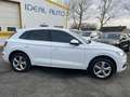 Audi Q5 40 TDI 190CH DESIGN LUXE QUATTRO S TRONIC 7 EURO6D-T Weiß - thumbnail 6