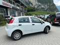 Fiat Punto Punto III 2012 5p 1.4 natural power Young 70cv Weiß - thumbnail 4