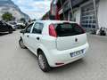 Fiat Punto Punto III 2012 5p 1.4 natural power Young 70cv Weiß - thumbnail 10