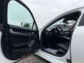 Porsche Panamera 3,0 Diesel - FACELIFT - Weiß - thumbnail 27