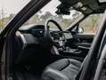 Land Rover Range Rover D350 Autobiography MHEV, Black Pack, 23", Coolbox Zwart - thumbnail 8