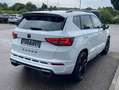 CUPRA Ateca 2.0 TSI DSG 4-DRIVE LIMITED 20"+AKRA+BEATS Weiß - thumbnail 5