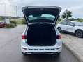 CUPRA Ateca 2.0 TSI DSG 4-DRIVE LIMITED 20"+AKRA+BEATS Weiß - thumbnail 13