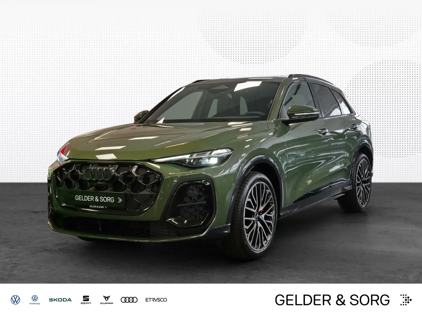 Audi SQ5 SUV TFSI qu. *Matrix*Navi*TechPro*Pano*Leder Verde - 1