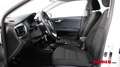 Kia Stonic 1.25 MPI ISG Silber Blanc - thumbnail 11