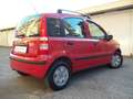 Fiat Panda 1.2 Dynamic Uniproprietario 78.100 km!!!! E4 Rouge - thumbnail 4