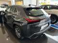 Lexus UX 300e + Grijs - thumbnail 3